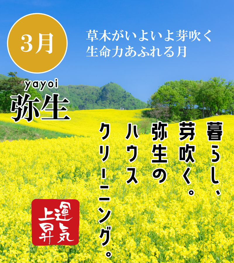 暮らし芽吹く弥生のハウスクリーニング 暮らし芽吹く弥生のハウスクリーニング