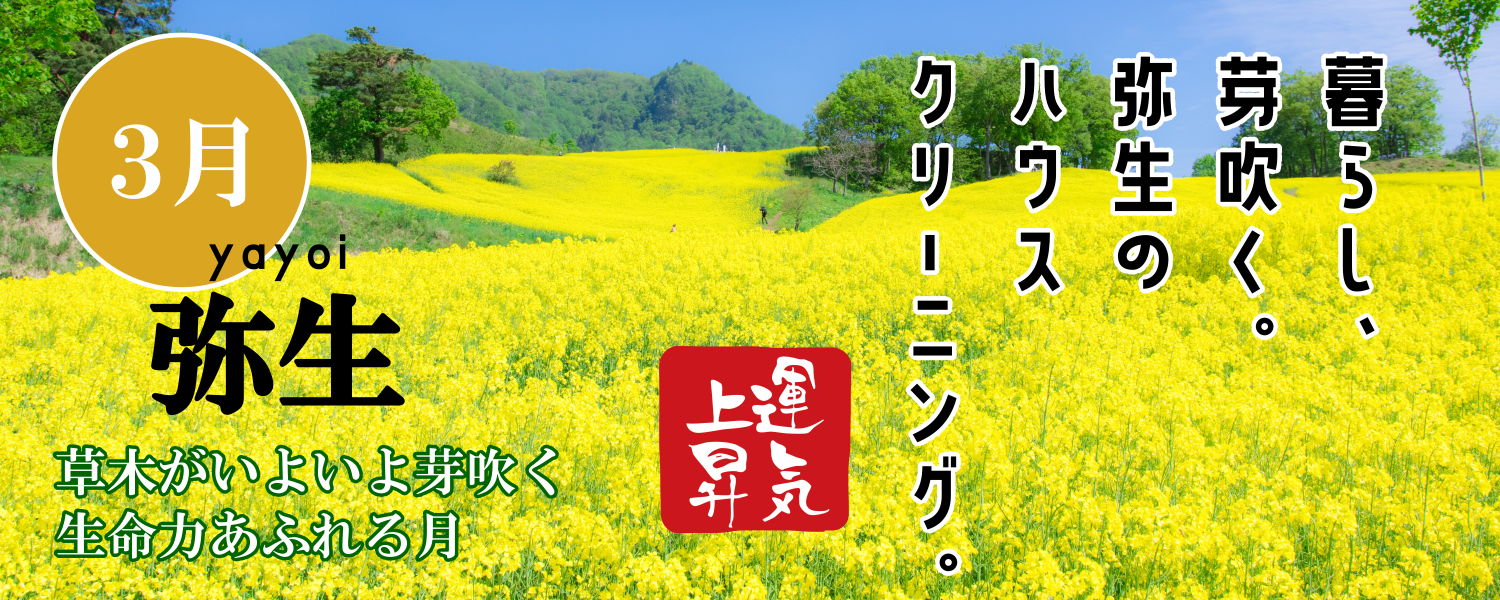 暮らし芽吹く弥生のハウスクリーニング 暮らし芽吹く弥生のハウスクリーニング