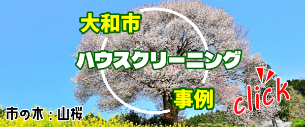 大和市ハウスクリーニング